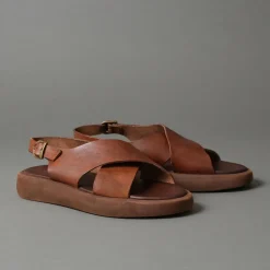 Brador 85645 Brown Hot