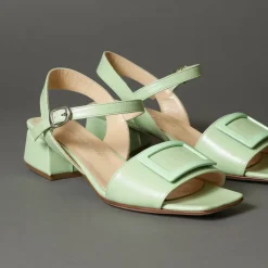 Conflict For Interest Lipsi Mint Fashion