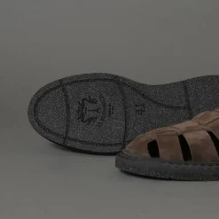 Le Ruemarcel Shiba 2040 Grey Sale